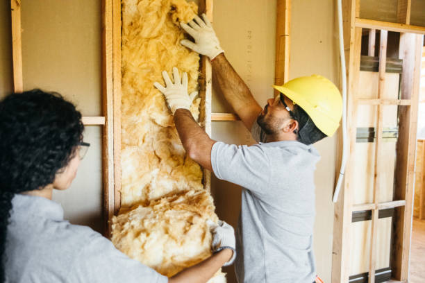 Types of Insulation We Offer in Waimanalo Beach, HI